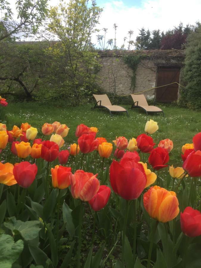 Le Clos Tilia Bed & Breakfast Cléry-Saint-André Eksteriør bilde